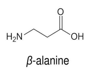 Beta alanina: todo lo que necesitas saber